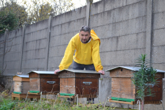 apiculteur-ateliers-team-building