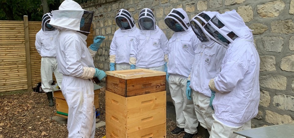 Des ruches et des abeilles Apilia chez Apprentis d’Auteuil