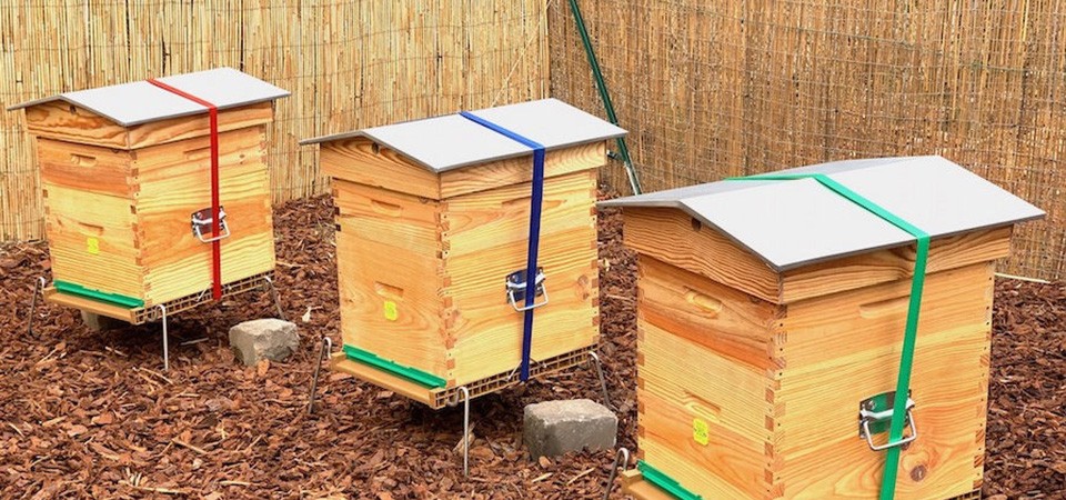 Installation des ruches chez les nouveaux clients d’Apilia