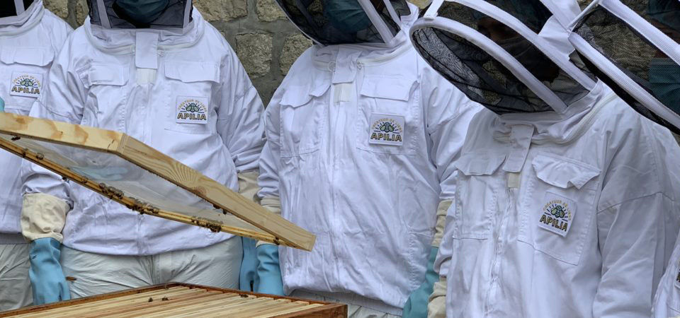 Teambuilding et management autour de l’apiculture: renforcer la cohésion d’équipe en protégeant les abeilles urbaines